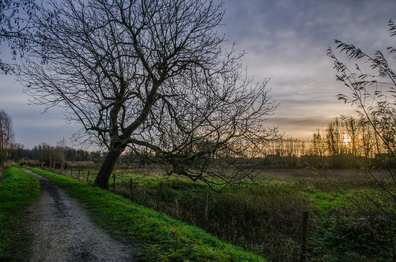 De Koolputten Waasmunster Exteriör bild